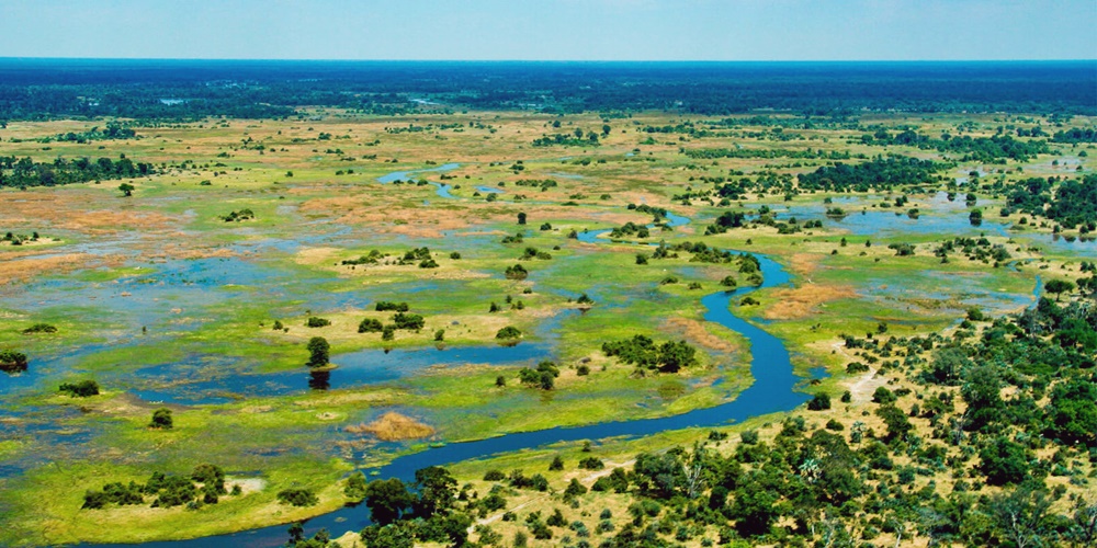 Il delta dell’Okavango