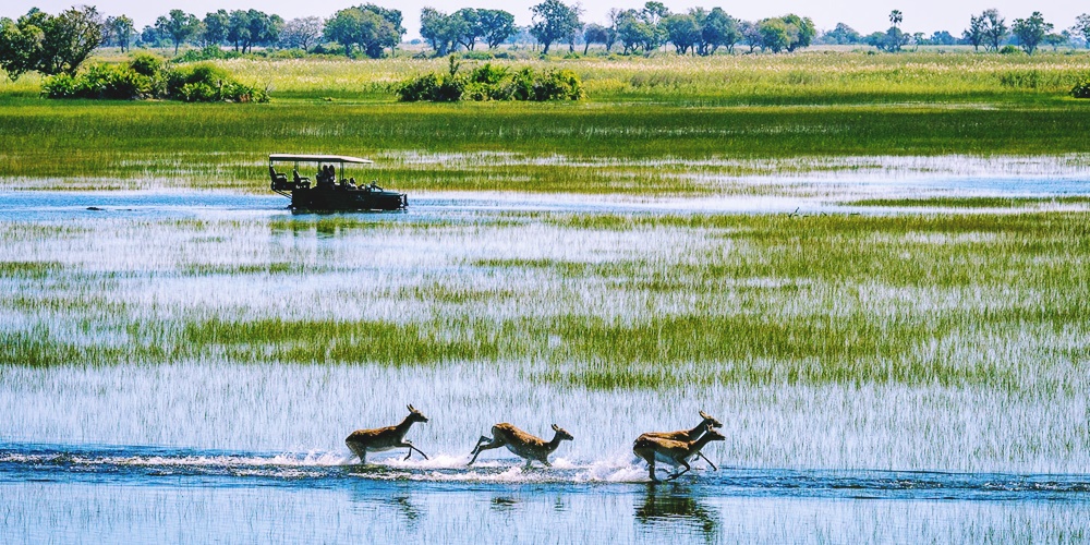 okavango-2